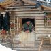 Il a survécu 30 ans seul dans la région sauvage de l’Alaska