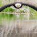 Un photographe prend la photo parfaite d&rsquo;un superbe aigle à tête blanche