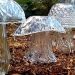 Les gens recyclent de la vieille verrerie en superbes champignons de jardin en verre