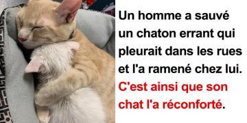 11 photos adorables prouvant que parfois les animaux valent mieux que les gens