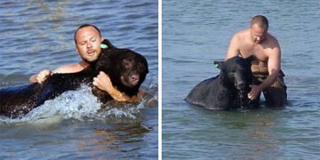 Un homme courageux sauvant de la noyade un ours noir de 200 kilos est peut-être l&rsquo;une des plus belles histoires de sauvetage de tous les temps