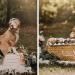 Un Pitbull a sa propre séance photo de maternité et c&rsquo;est adorable