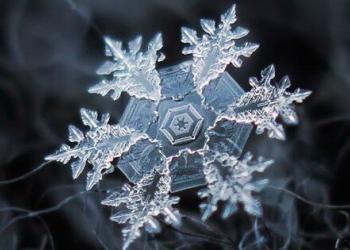 Des photos macro de flocons de neige montrent des motifs incroyablement parfaits