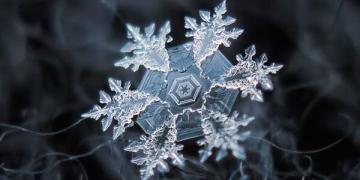 Des photos macro de flocons de neige montrent des motifs incroyablement parfaits
