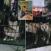 Les marchés chinois vendent toujours des chauves-souris