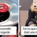 40 fois où des personnes ont fait l&rsquo;expérience de la paréidolie et l&rsquo;ont prise en photo pour que tout le monde puisse la voir