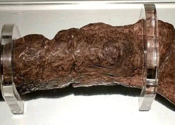 Le plus gros étron humain fossilisé jamais trouvé provient d&rsquo;un Viking malade