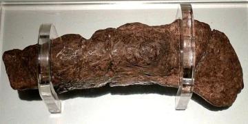 Le plus gros étron humain fossilisé jamais trouvé provient d’un Viking malade