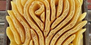 L’œuvre d’art des abeilles peut être absolument stupéfiante