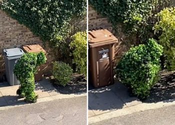 Un homme se faufile dans la rue déguisé en buisson pendant la quarantaine
