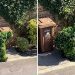 Un homme se faufile dans la rue déguisé en buisson pendant la quarantaine