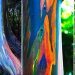 L&rsquo;eucalyptus arc-en-ciel : Le plus bel arbre du monde