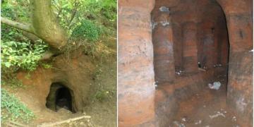 Un terrier de lapin dans une ferme mène à un mystérieux réseau de grottes des Templiers