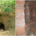 Un terrier de lapin dans une ferme mène à un mystérieux réseau de grottes des Templiers