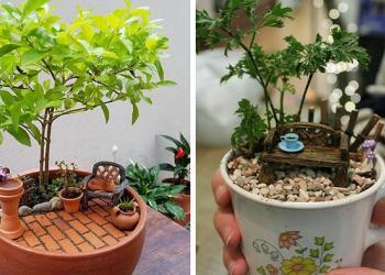 Apparemment, les jardins dans des tasses de thé sont à la mode et voici 23 exemples adorables