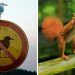 Ces 33 photos prises au meilleur moment sont stupéfiantes