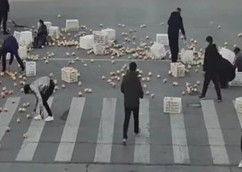 Un accident provoque un déversement massif de fruits, mais des conducteurs amicaux viennent à l&rsquo;aide.