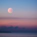 La Super Lune Rose du 7 avril sera la plus grande et la plus brillante de l&rsquo;année