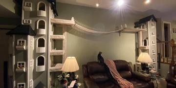 Un homme construit deux tours pour ses chats et tant de gens les veulent qu’il va commencer à vendre les plans de construction