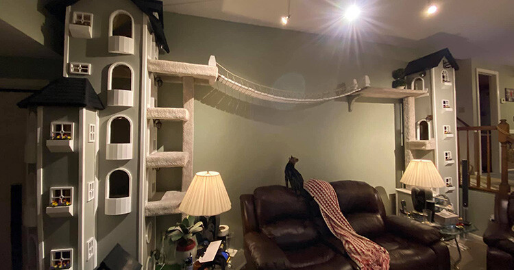 Un homme construit deux tours pour ses chats et tant de gens les veulent qu’il va commencer à vendre les plans de construction