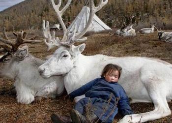 Un photographe rend visite à une tribu mongole perdue, prend des photos étonnantes de sa vie et de sa culture