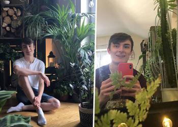 Ce « garçon de la jungle » a 1400 plantes d&rsquo;intérieur qui lui prennent des heures à arroser chaque jour
