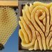 Les abeilles créent de magnifiques ruches en forme de cœur lorsqu&rsquo;elles ne sont pas limitées par les cadres de ruche