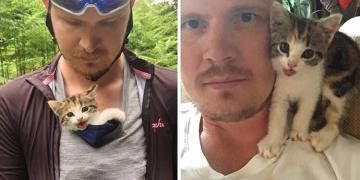 Un chaton trouvé seul près de la forêt, grimpe sur des cyclistes et ne veut pas les lâcher