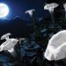 Plantez votre propre jardin lunaire magique avec des fleurs qui fleurissent la nuit