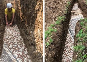 Une mosaïque romaine antique est découverte en parfait état sous un vignoble en Italie