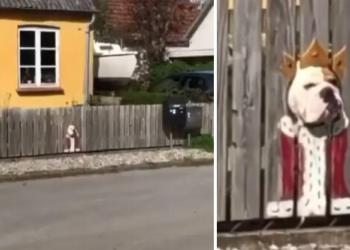 Une famille peint la clôture où leur chien aime passer la tête