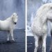 Un photographe saisit des chevaux féeriques qui parcourent le paysage épique de l&rsquo;Islande