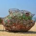 Pour nettoyer cette plage, il a suffi d&rsquo;une sculpture de poisson appelé Goby