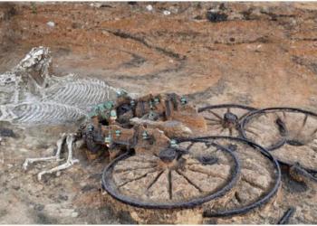 Une tombe à char de l&rsquo;âge du fer a été retrouvée – avec les chevaux et le conducteur