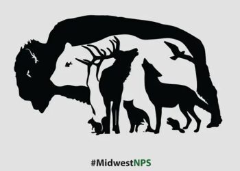 Combien d&rsquo;animaux pouvez-vous repérer sur cette image ?