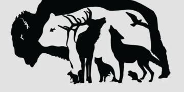 Combien d&rsquo;animaux pouvez-vous repérer sur cette image ?