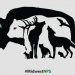 Combien d&rsquo;animaux pouvez-vous repérer sur cette image ?