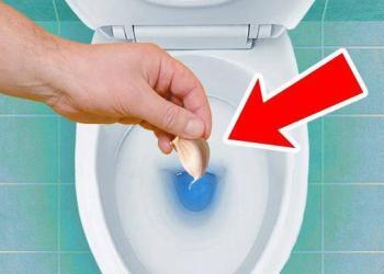 Mettez de l&rsquo;ail dans les toilettes avant de vous coucher, voyez ce qui se passe