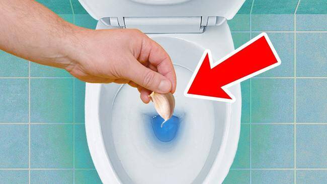 Mettez de l’ail dans les toilettes avant de vous coucher, voyez ce qui se passe