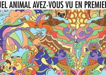 L&rsquo;animal que vous repérez en premier en dit long sur votre personnalité