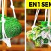 Astuces incontournables de jardinage ! Conseils simples pour un jardin florissant (vidéo)