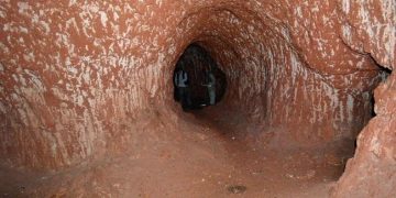 Ces énormes tunnels ont été creusés par un paresseux géant qui vivait il y a 10 000 ans en Amérique du Sud