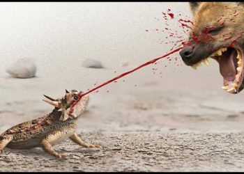 Les façons fatales dont les animaux se protègent