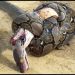 Voici pourquoi le cobra royal déteste les autres serpents