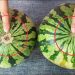 Les pastèques sont-elles sucrées ? Un simple coup d’œil ici et vous le saurez. Garantie de trouver la bonne à chaque fois, la méthode du vieux cultivateur de pastèques fonctionne vraiment.