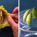 13 astuces de jardinage géniales que vous serez heureux de connaître !