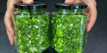 Conserver des oignons verts est si simple. Ils restent frais pendant un an, et vous pouvez les prendre au fur et à mesure, sans gaspillage et avec une grande commodité.
