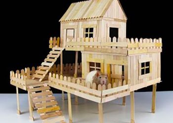 Comment faire une maison en bâtonnets de glace pour un rat