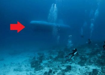 Une découverte terrifiante sur un sous-marin | Plongée qui tourne mal