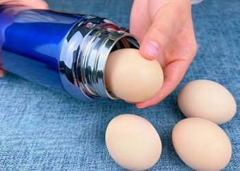 Mettre des œufs dans un thermos, c&rsquo;est vraiment incroyable. Je ne savais pas que c&rsquo;était aussi efficace. Essayez-le vite !